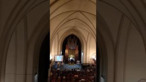 Андрей Бардин "Аве Мария" (Франц Шуберт)