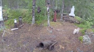 Остров добрых духов