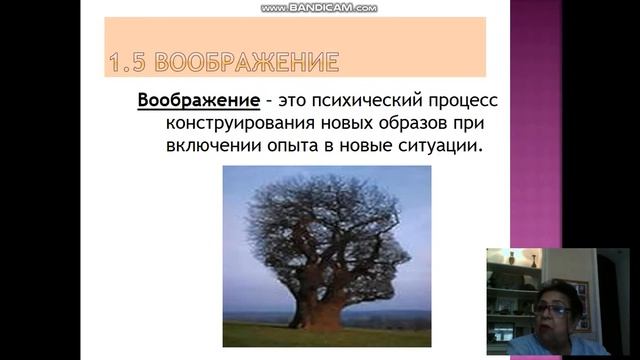 Психические процессы