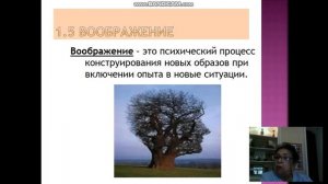 Психические процессы