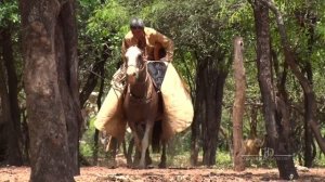 Huellando Ausencia - Chaqueño Palavecino