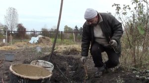 22.10.2016г.посадка ремонтантной малины в траншею