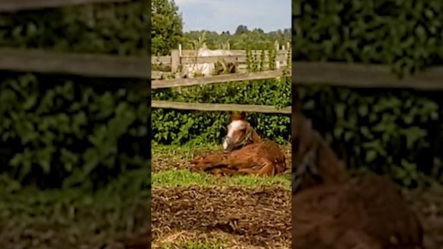 Когда ее не станет, я точно буду по ней скучать.