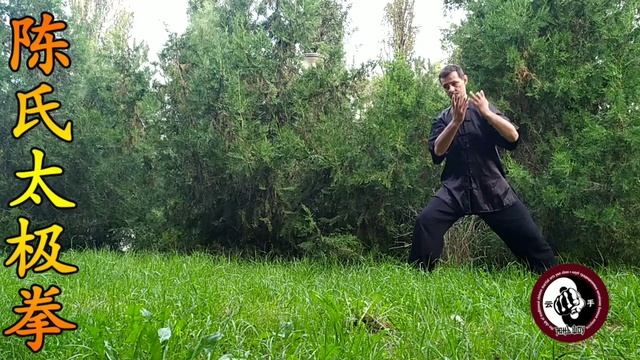 Чэньши Синьи Хуньюань тайцзицюань. 24 формы, таолу полностью