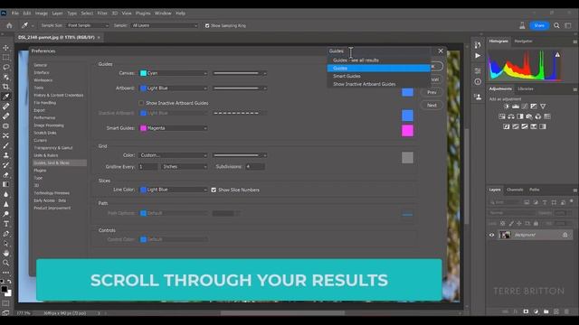 How To Search Preferences In Adobe Photoshop Beta смотреть онлайн