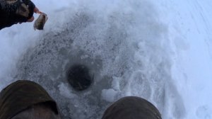 Рыбалка в Марий Эл.Щуки на Жерлицы.Осваиваю безмотылку. Чебоксарское водохранилище 2023г.