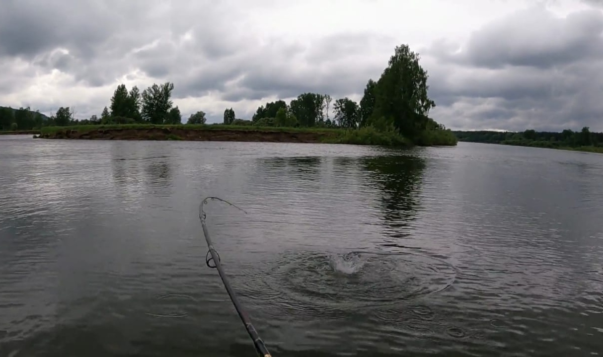 ОДИН ВОБЛЕР для любого ХИЩНИКА ! смотреть онлайн