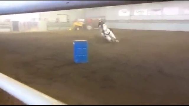 Reds Double Dot, 2000 APHA Gelding смотреть онлайн