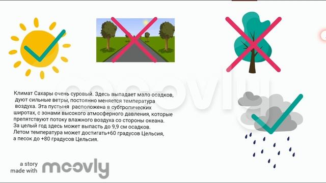 Пустыня Сахара. География 7 класс