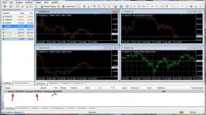 MetaTrader 4  Терминал   Вкладка Торговля