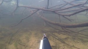 Подводная охота в Десногорске  Январь 2019 г