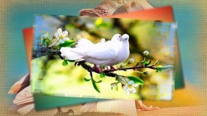 Juanes   La Camisa Negra   Черная рубаха   Эмиль Гыстаров   Грустные глаза