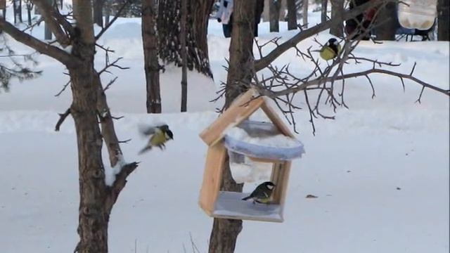 Новолетие