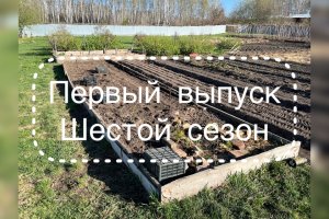 Первый выпуск шестого сезона
