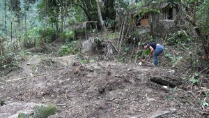Gardening And Growing Vegetables - Daily Life Alone in The Forest, Survival instinct