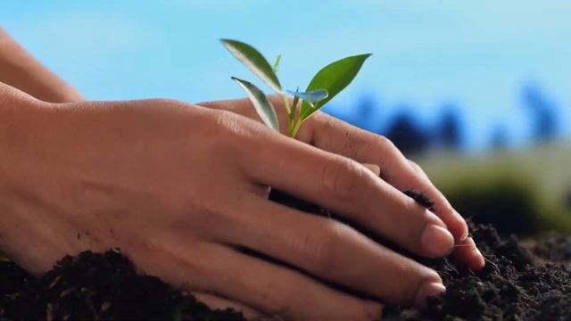 klumba23 ru ландшафтный дизайн Краснодар