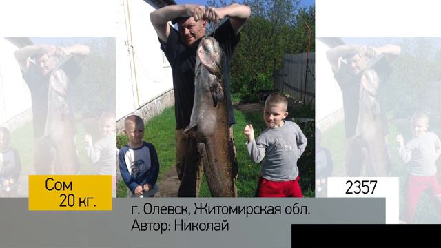 Фотоальбом - Рыбалка №471 смотреть онлайн