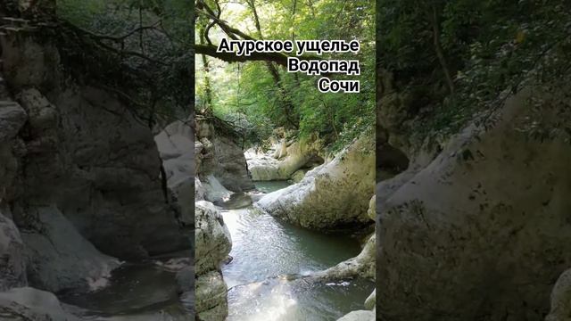 Сочи Сегодня Агурское ущелье водопад #сочисегодня #водопады #ущелье #сочисегодня #сочисейчас