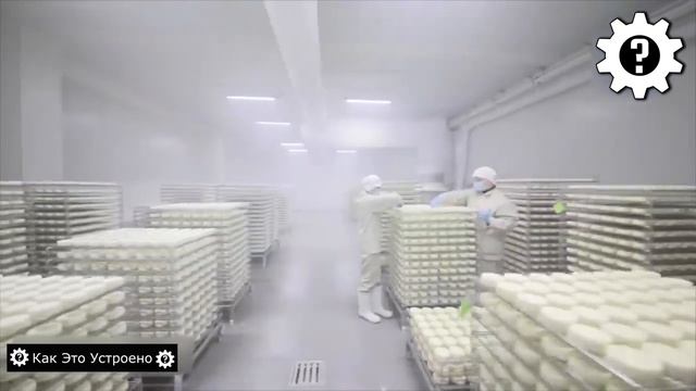 Секреты Пищевой Промышленности. Ты должен это увидеть