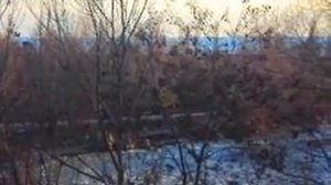 Реки Черноморского побережья. Река Аше в Лазаревском районе. Декабрь 2012