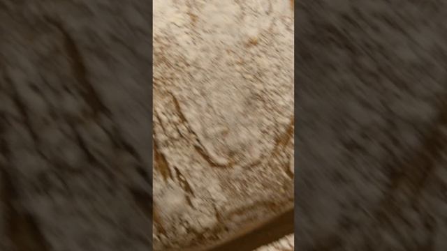 БИГА И ПУЛИШ КАК УЛУЧШАЮТ ХЛЕБ. Денис Машков. смотреть онлайн