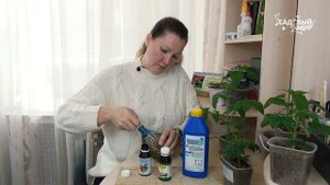 Подкормка рассады Бором. Зачем и когда Бор (борная кислота) нужен растениям