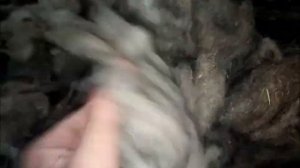 Станок для Очистки Шерсти
