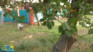 Жизнь в Краснодарском крае / поселок Приморский, Таманский залив