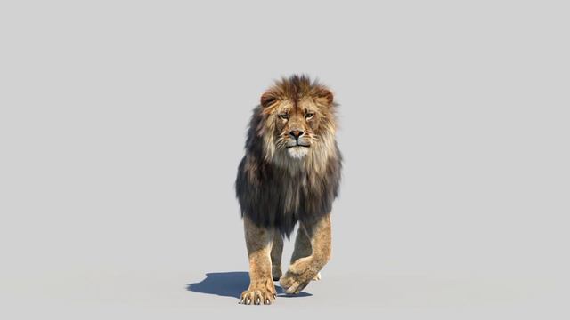 Lion Roaring 3D Model: Download - 3Ds Max | @PROmax3D