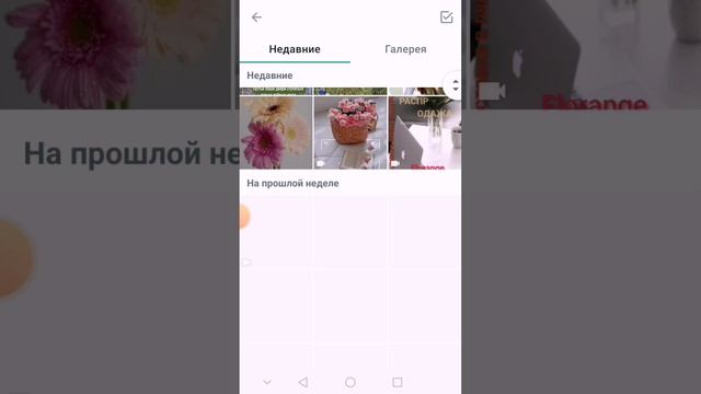 Как установить статус в WhatsApp
