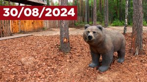 Нягань 30.08.2024