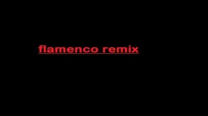 flamenco remix.wmv