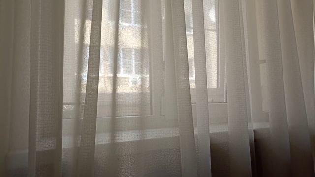 Самые необычные животные. смотреть онлайн