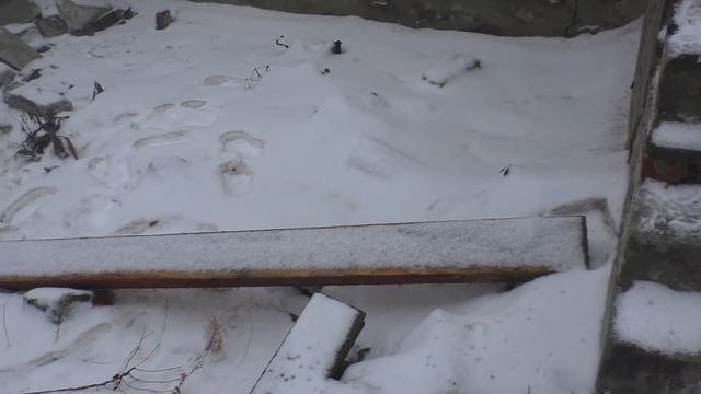 Заготовил кирпичи для печного комплекса!