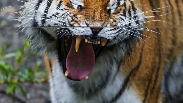 Музыка от депрессии. Очень качественная музыка. Слуш... смотреть онлайн