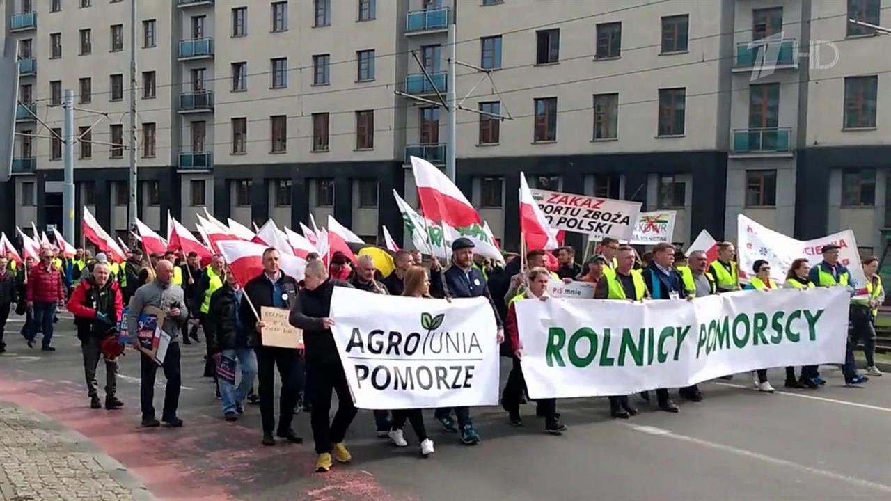 Польша и Венгрия временно запретили поставки украинской сельхозпродукции