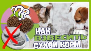 Как взвесить сухой корм, если нет весов