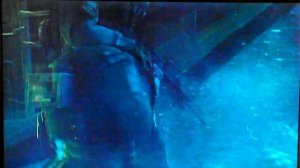 Medal Of Honor Limited Edition PS3 Unboxing