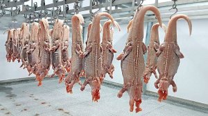 Еда, Которую Могут Купить Только Богатые Люди