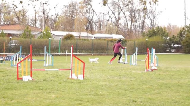 Д3 Мальцева Агата и Дора смотреть онлайн