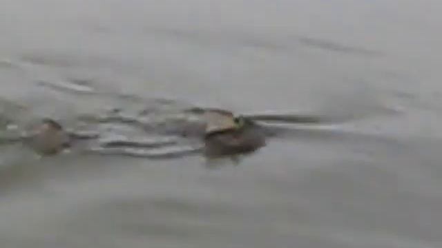 Никольский Яр