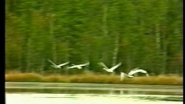 Гимн Казачинско-Ленского района .avi