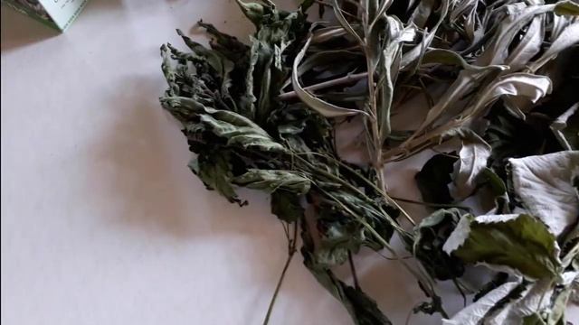 Онкосбор смотреть онлайн