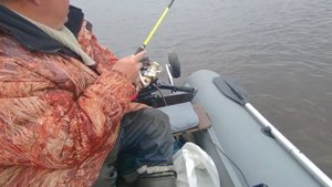 Река Ловать в сентябре