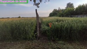 Установил сетку для огурцов!!!