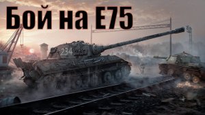 Е-75 Песчанная река, мастер бой норм