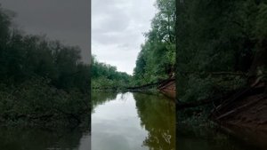 Тугалово 9-12 июня 2023