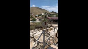 Дача в Орджо, Орджоникидзе, Крым. Сдаются комнаты.