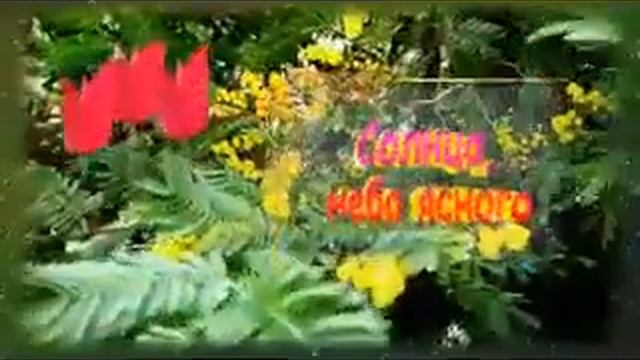 ДОРОГИЕ ДЕВУШКИ И ЖЕНЩИНЫ, ЖЕНЫ, МАМЫ, БАБУШКИ С ПРАЗДНИКОМ ВЕСНЫ!!! смотреть онлайн