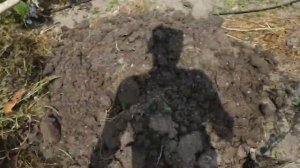 Видео 9. Посадка голубики.